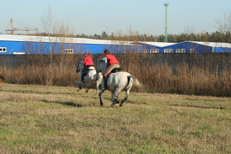 IMG_1112.jpg1.jpg"%20height="533"%20width="800